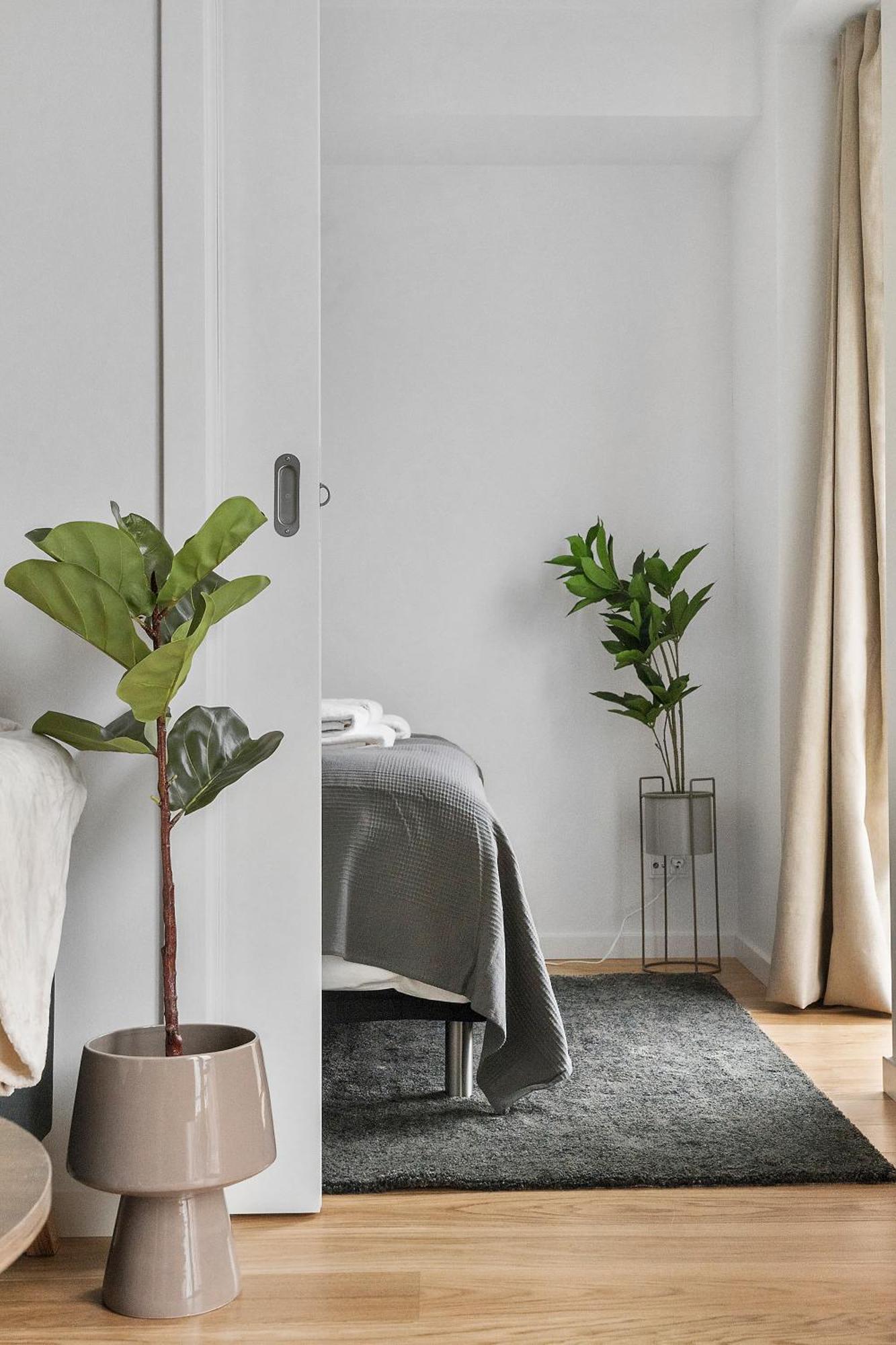 Apartment Little Luxury